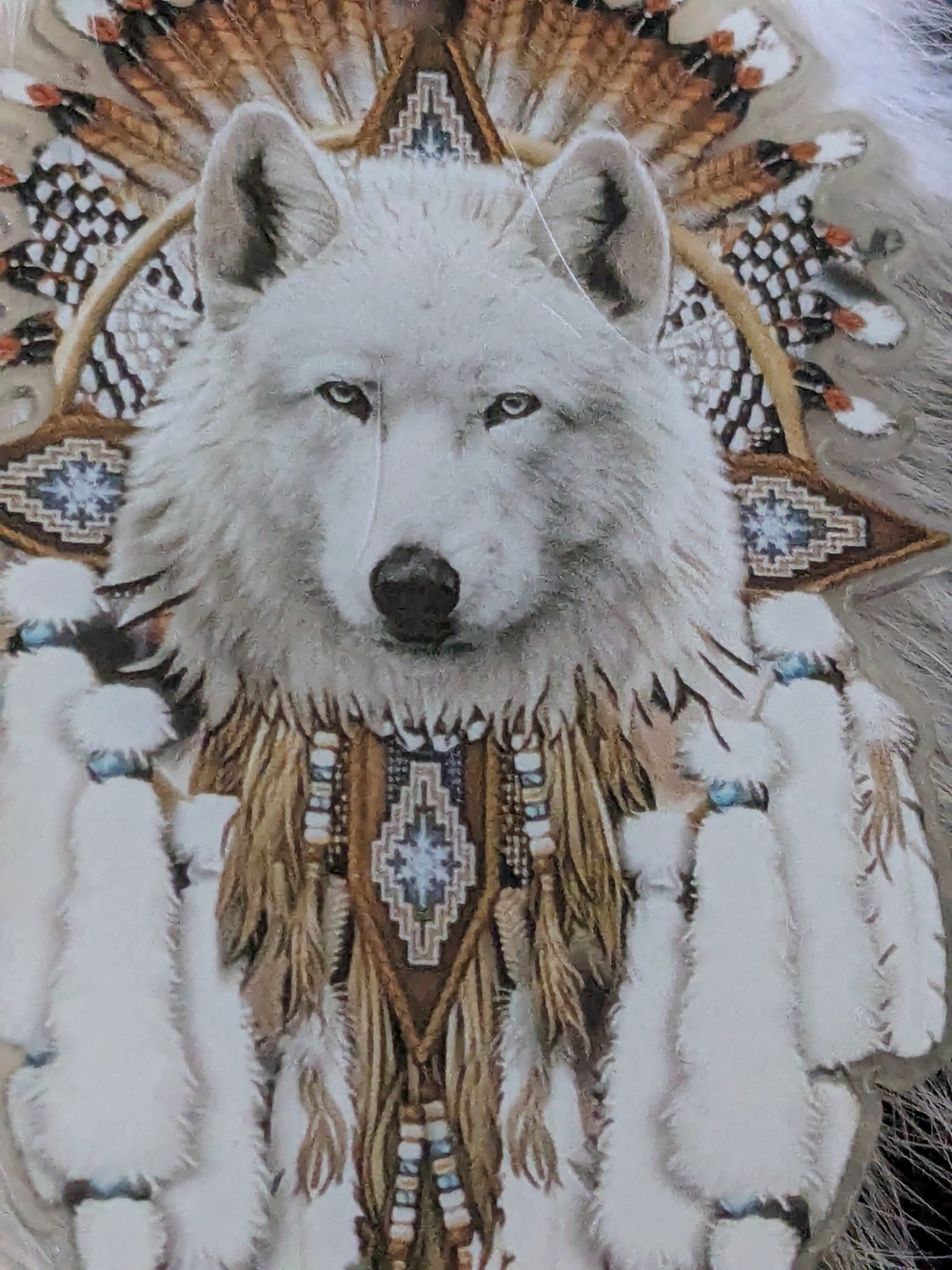 White Wolf Feathered Statement Earrings - Picture 4 of 6